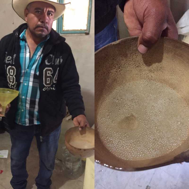 Maestro Felix Angeles invites us to admire the bubble structure of his excellent mezcal..jpg