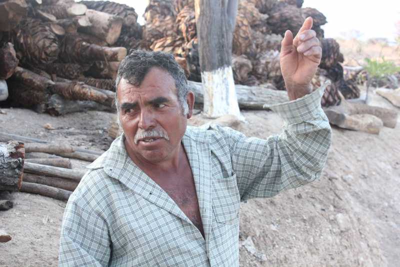 Maestro Victor Ramos works hard, growing agave, roasting pinas, and distilling the spirit..jpg